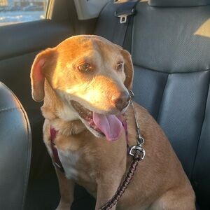 Meet your Posher, Adriana